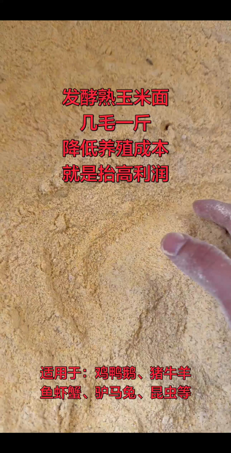 熟化玉米面