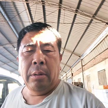 聊城东方蜜甜瓜大量上市，量大从优，产地直供欢迎采购