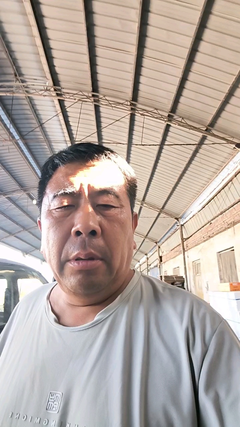 聊城东方蜜甜瓜大量上市，量大从优，产地直供欢迎采购