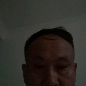 黄色金针菇产地直销，价廉物美，欢迎来电骚扰