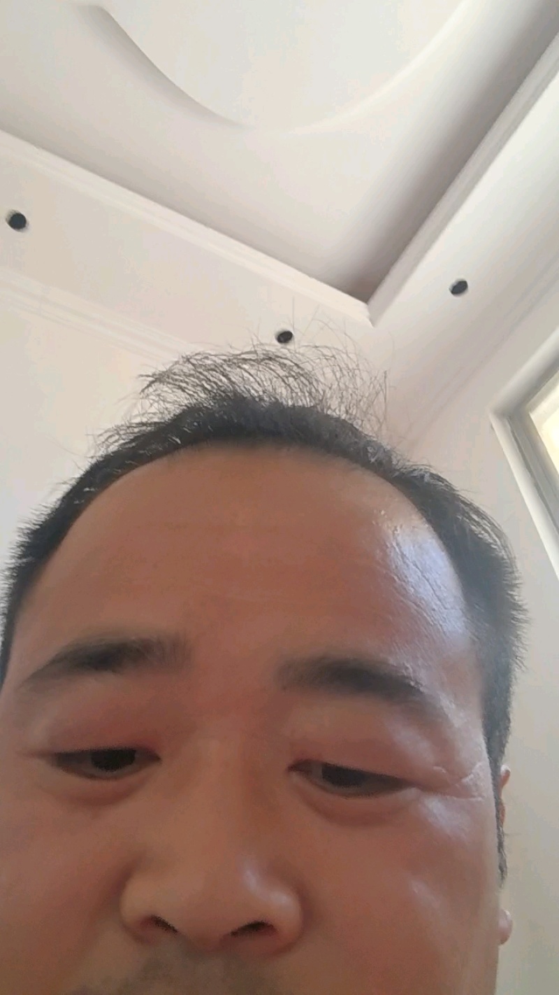扇贝鲜活新鲜港湾贝带壳超大扇贝海鲜水产海捕贝类