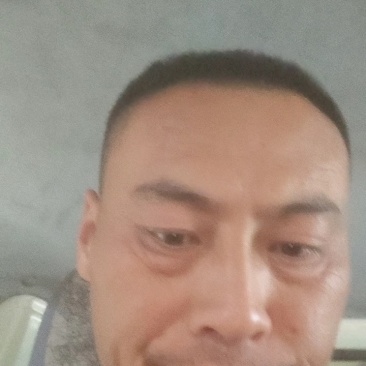 鲜大蒜预售