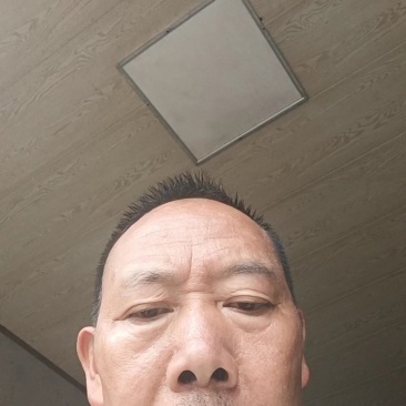 金口河川牛膝，产地一手货源量大优惠，对接全国市场电商平台