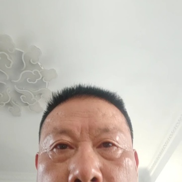 精品平菇，产地直发，量大价优，保质保量，欢迎各位老板随时