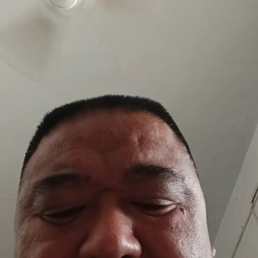 紫皮大蒜，杞县大蒜，产地直发！，保质保量！欢迎下单！