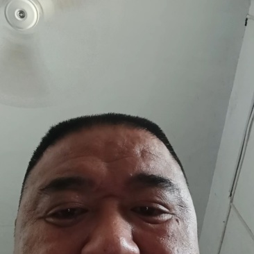 西瓜红！基地直供！货源充足！精品包装！质优价廉，对接商超