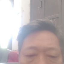 鲜玉米甜包谷花超新鲜太阳花黄玉米现采现发