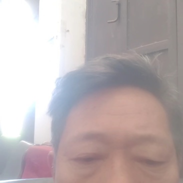 鲜玉米甜包谷花超新鲜太阳花黄玉米现采现发