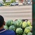 山东大棚小糖丸美都甜王西瓜包熟包8斤打底9成熟可视频