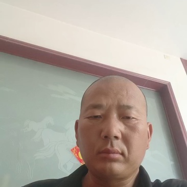 邯郸丛台精品花菜大量上市，产地直发，大量有货，欢迎订购
