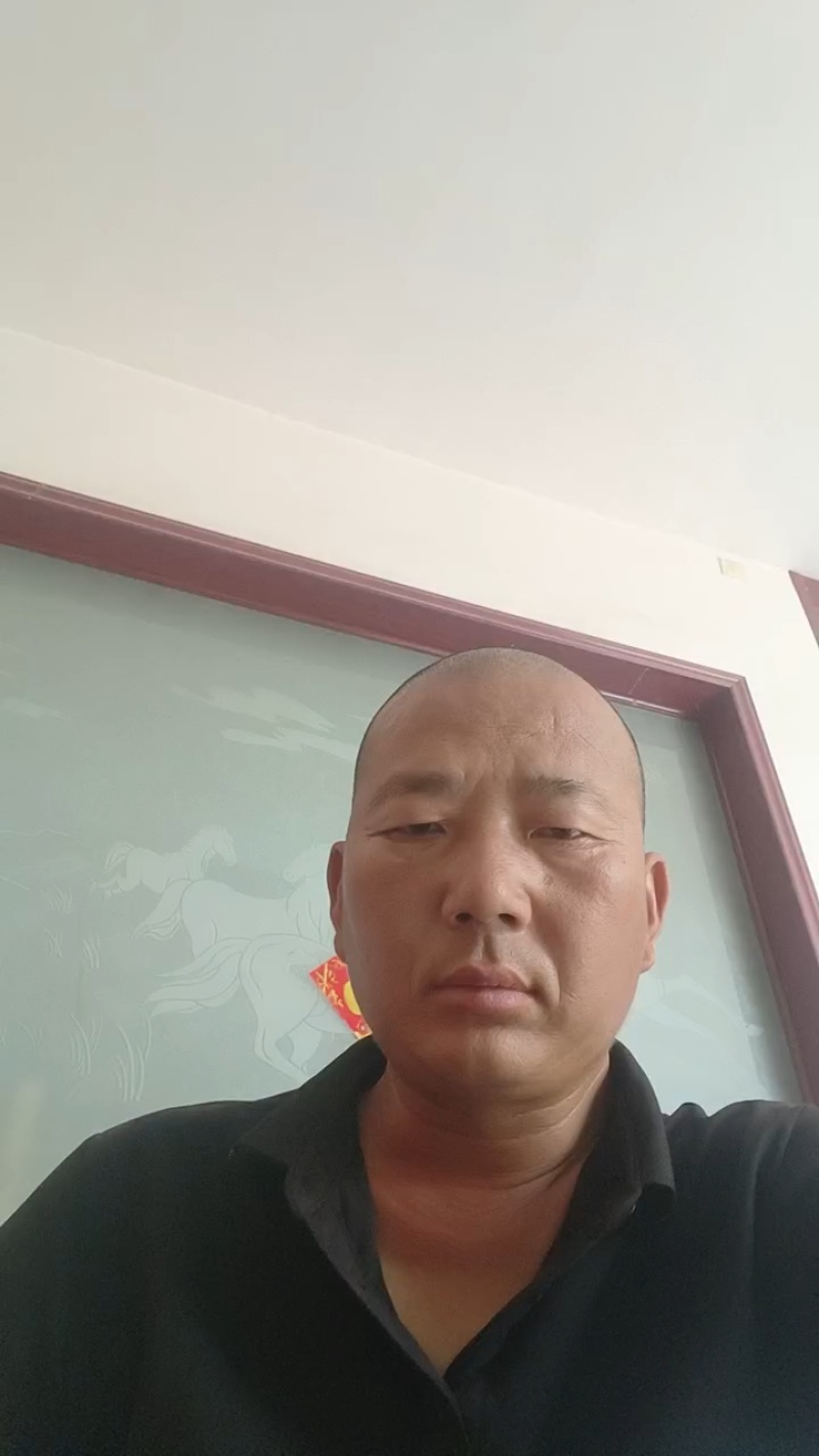 邯郸丛台精品花菜大量上市，产地直发，大量有货，欢迎订购