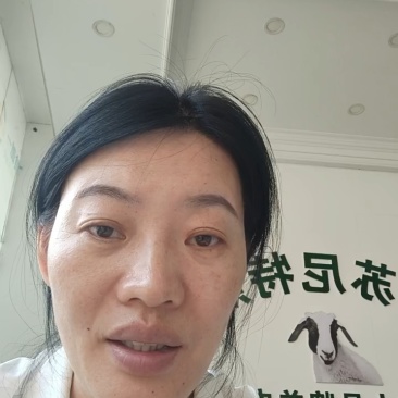 精品羊排货源充足量大从优质量保证诚信经营欢迎咨询
