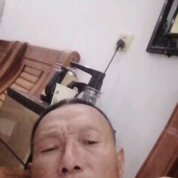 107速生杨