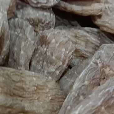 野生小天麻，原产地发货批发零售