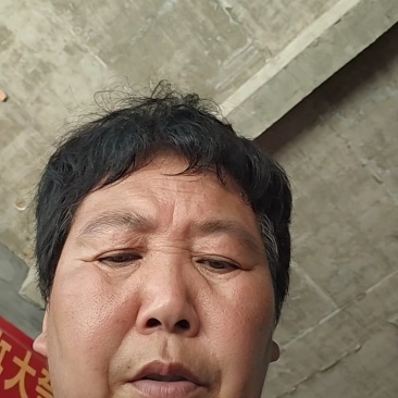 河南黄皮洋葱，货源充足质量保证当季新货上市，个头均匀
