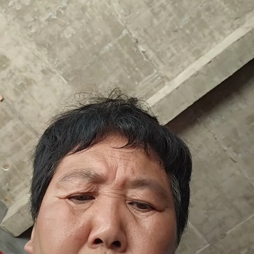 红皮洋葱，河南周口产区当季新货大量上市保质保量可对接全国