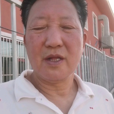 喀什自然干法兰西西梅干，好吃又健康。