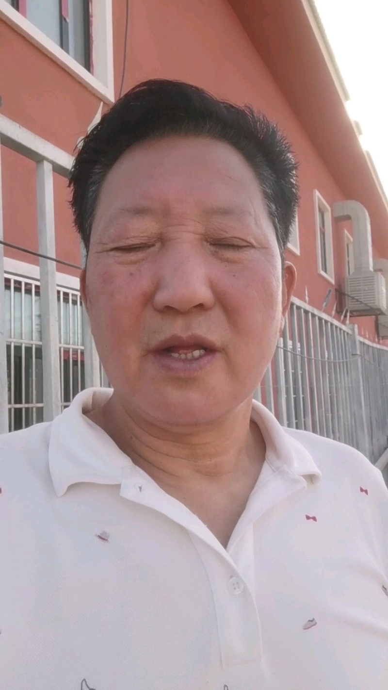 喀什自然干法兰西西梅干，好吃又健康。
