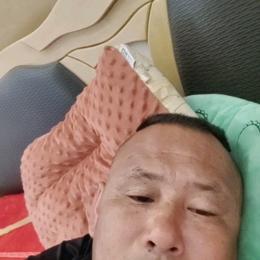 山东8520豆芋头大量上市，产地直供，品质保障，量大优惠