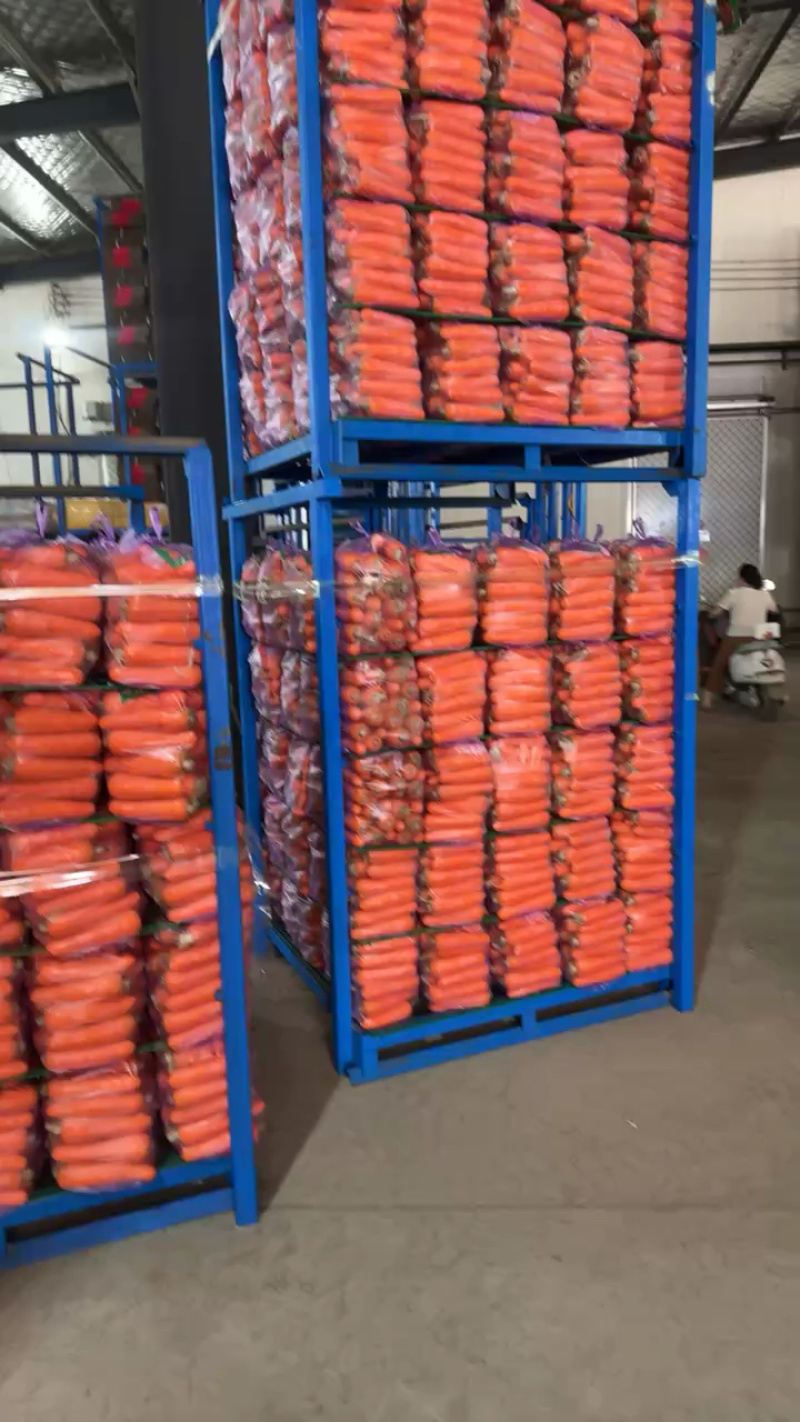 精品红萝卜，货源充足质量保证各种规格齐全。