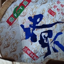 地界普洱茶饼生茶357克/饼冰岛五寨