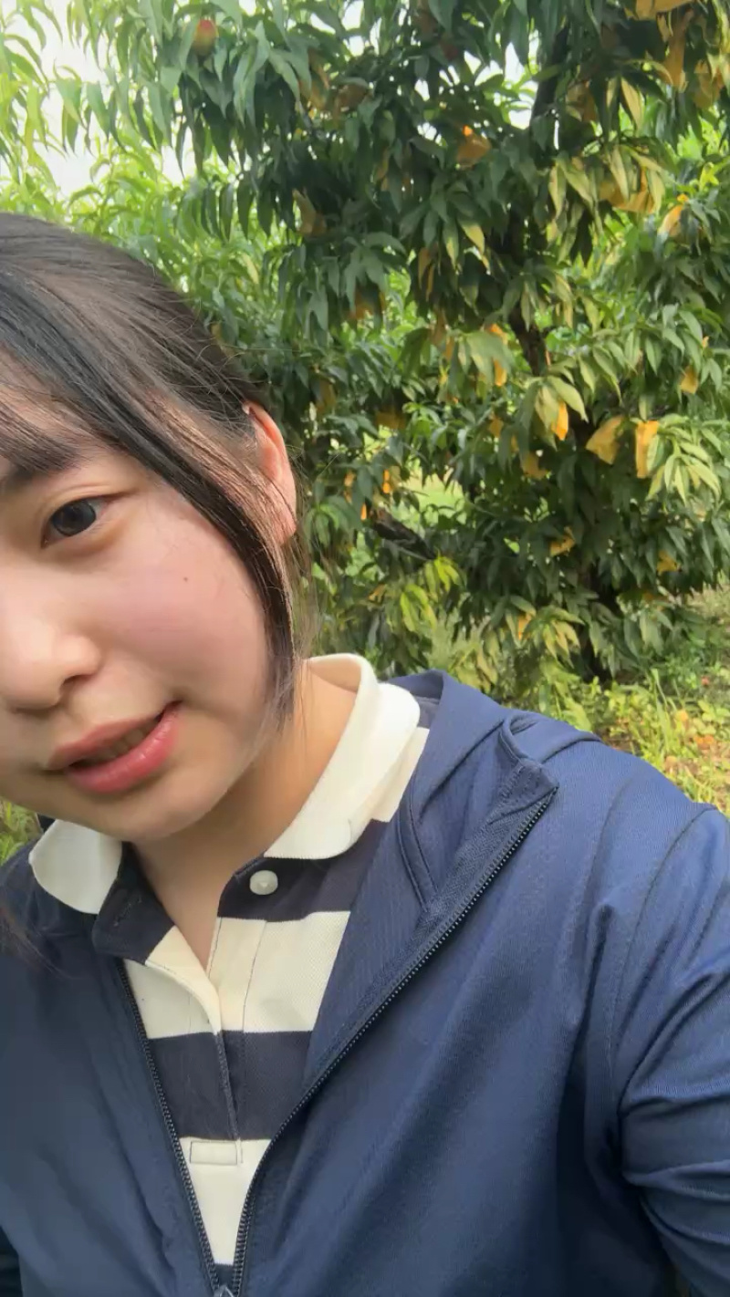 早花露精品礼盒装，30元/件，果型饱满！