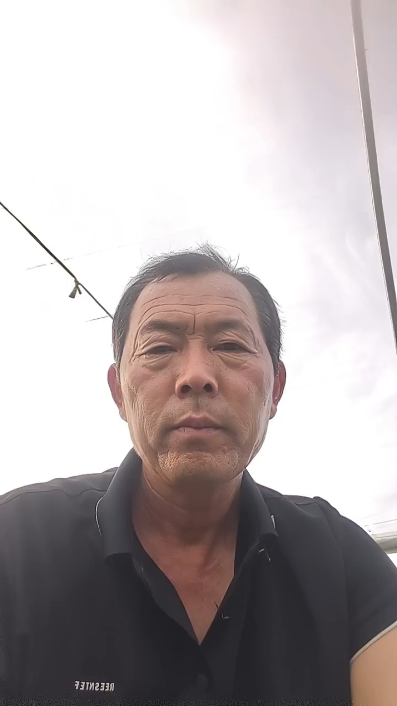【精品西瓜】蒲城礼品小糖丸西瓜大量供应产地直发全国发货