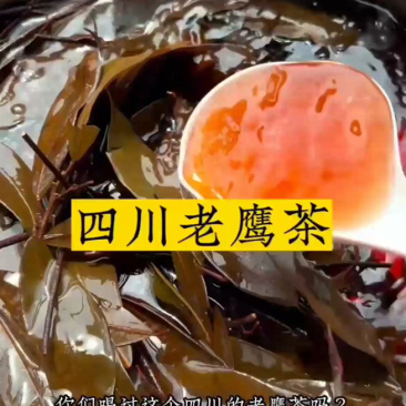 老鹰茶源头厂家，火锅餐饮商用，长期稳定供货，高温煅炒品质