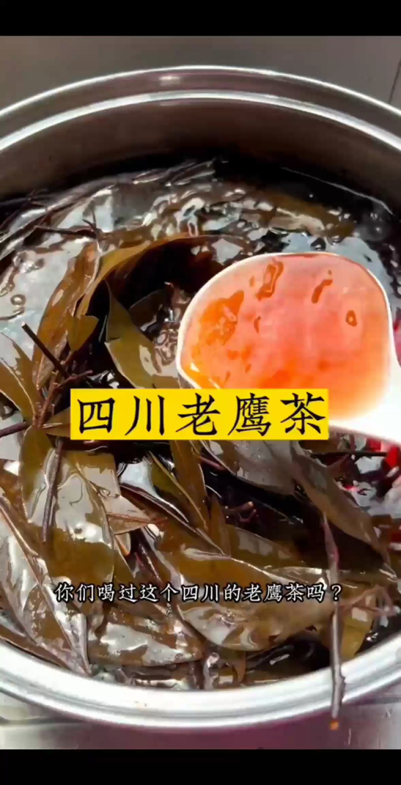 老鹰茶源头厂家，火锅餐饮商用，长期稳定供货，高温煅炒品质
