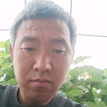 今天是5月24号，青提4块1斤
