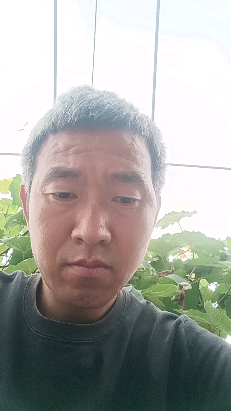 今天是5月24号，青提4块1斤