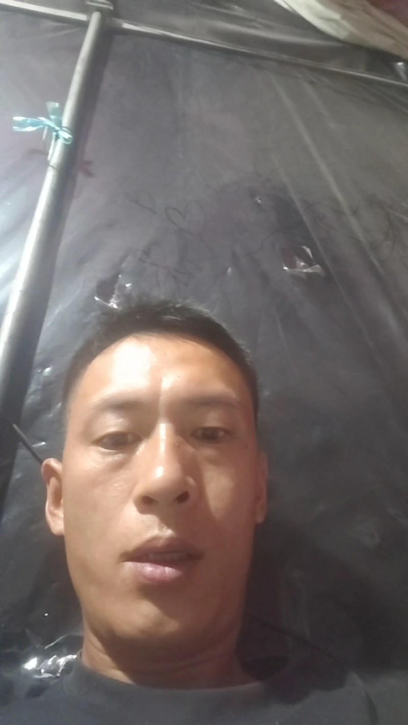 鸡毛菜肖根鸡毛菜产地直发量大从优可视频看货对接全国