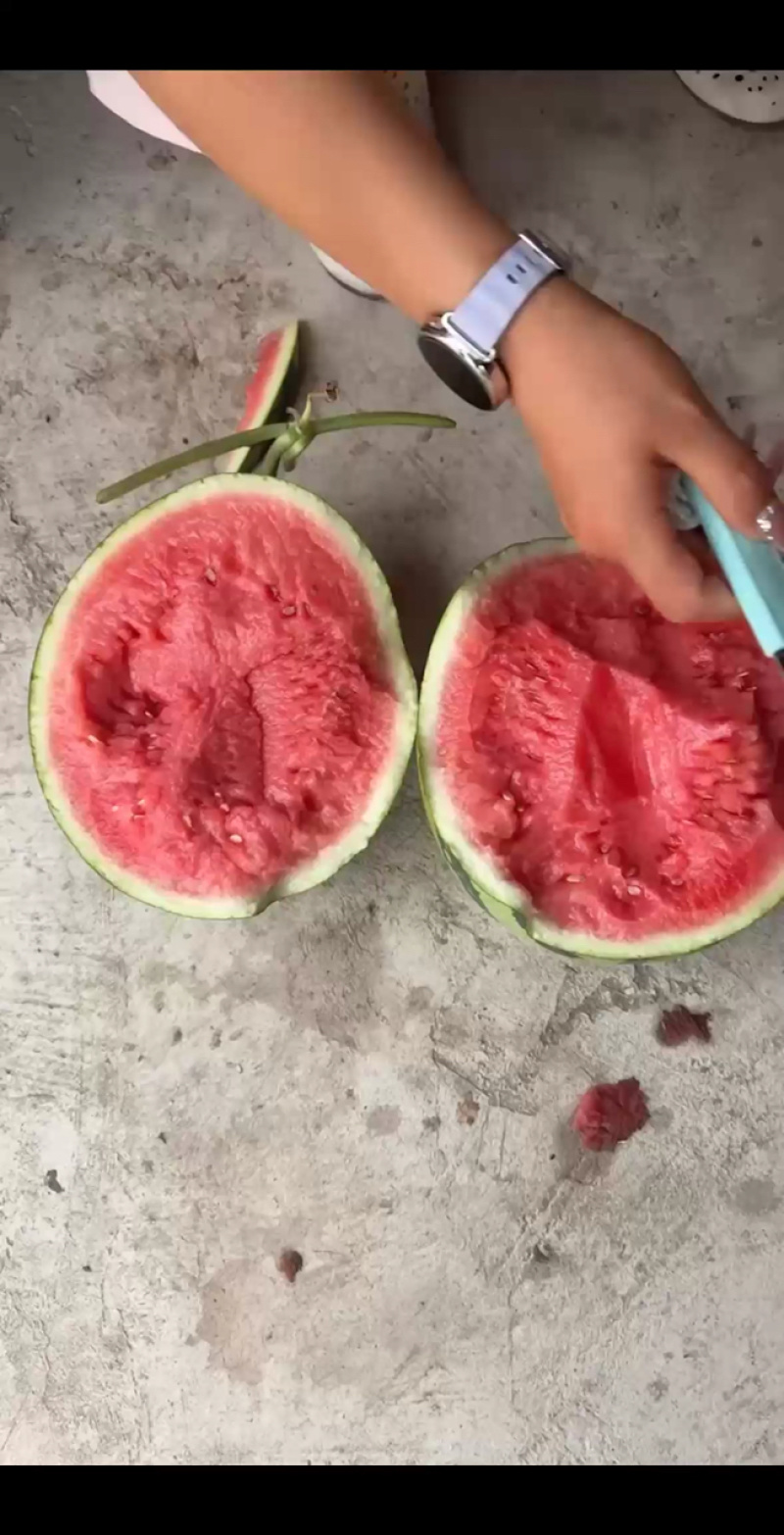 精品无籽美都麒麟，口感好嘎嘎甜