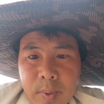 美都无籽，保质保量，甜度高，体型好！全国代收代发，专业团