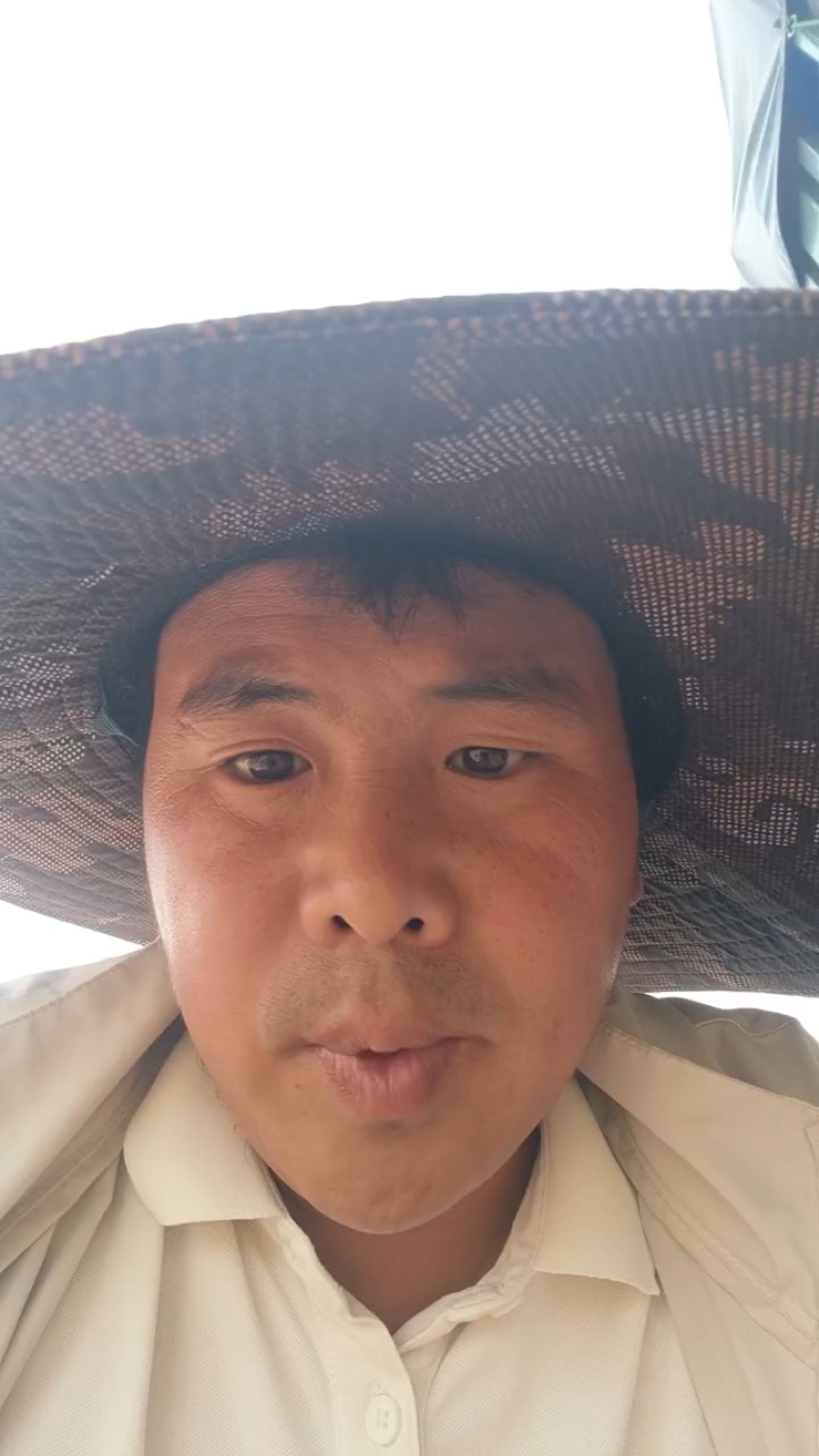 美都无籽，保质保量，甜度高，体型好！全国代收代发，专业团