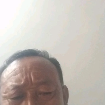 常年出售干鸡屎粪一袋60斤10元散载280元一吨禽畜粪便