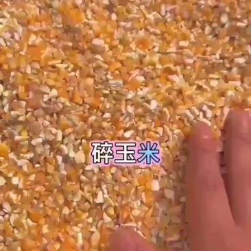 碎玉米无土无沙无霉变等