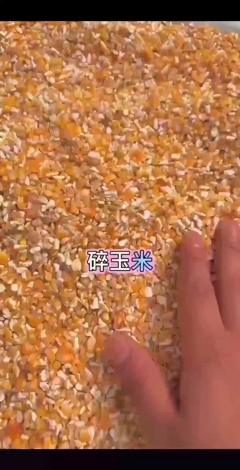 碎玉米无土无沙无霉变等