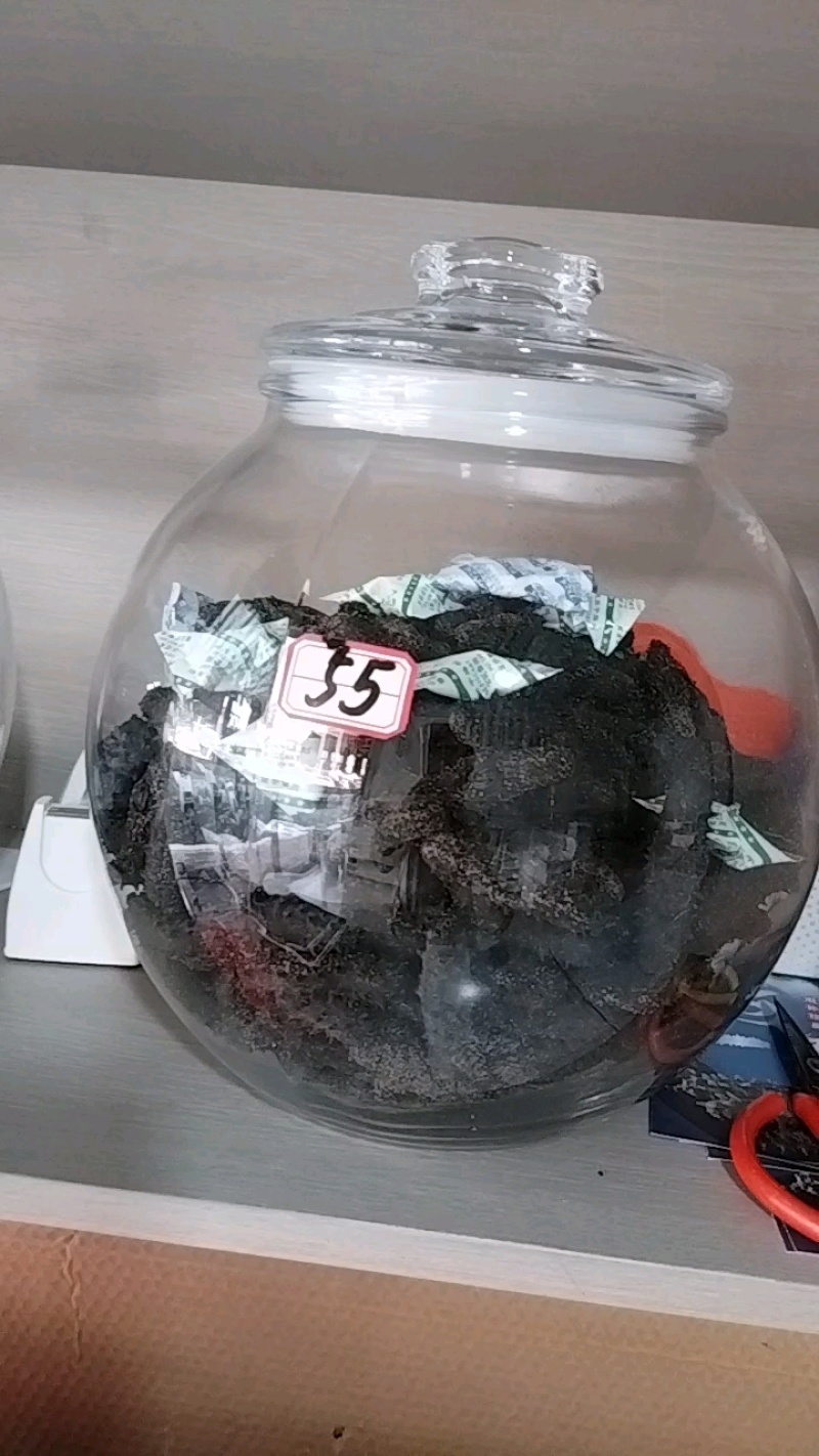 淡干海参