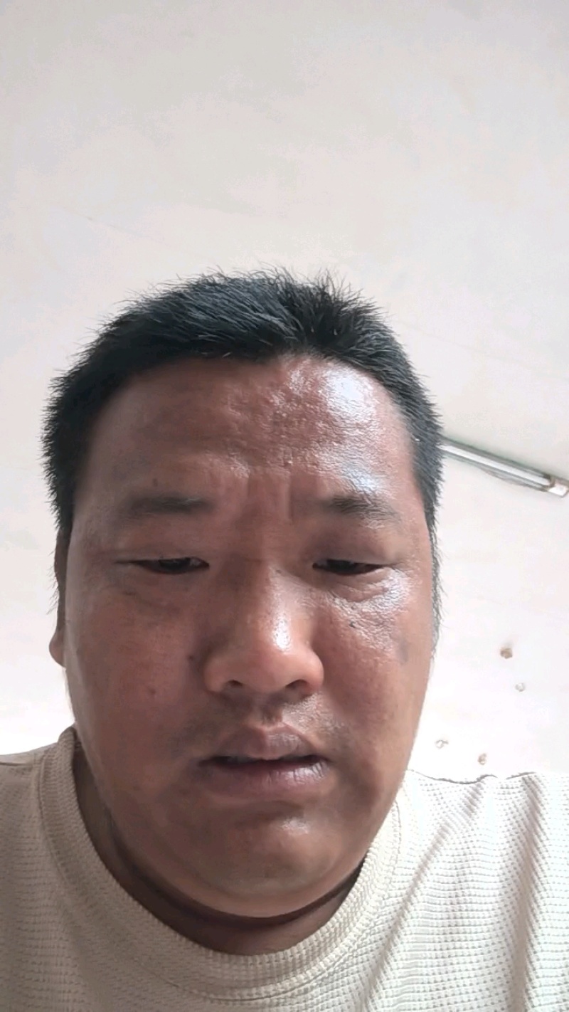 江苏淮安空心菜大量接单产地直发量大从优欢迎来电