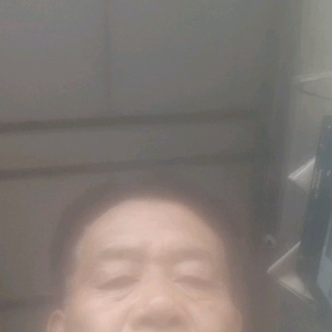 韭菜根