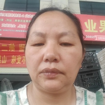大量供应广西桂林的精品夏橙，诚招电商，微商一件代发！