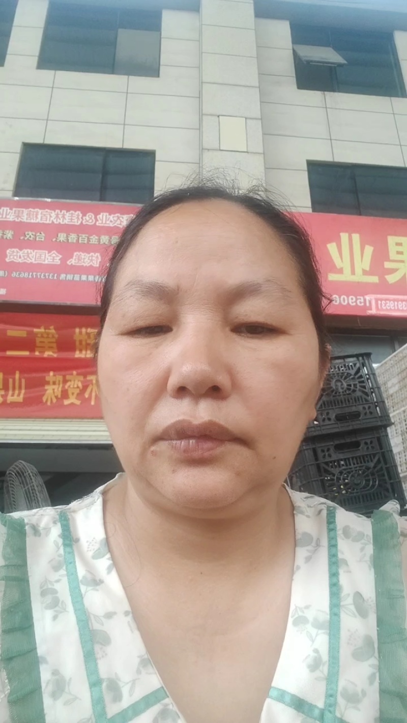 大量供应广西桂林的精品夏橙，诚招电商，微商一件代发！