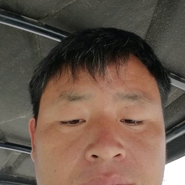 三红胡萝卜红金川通许胡萝卜新货水洗一手货源量大优惠