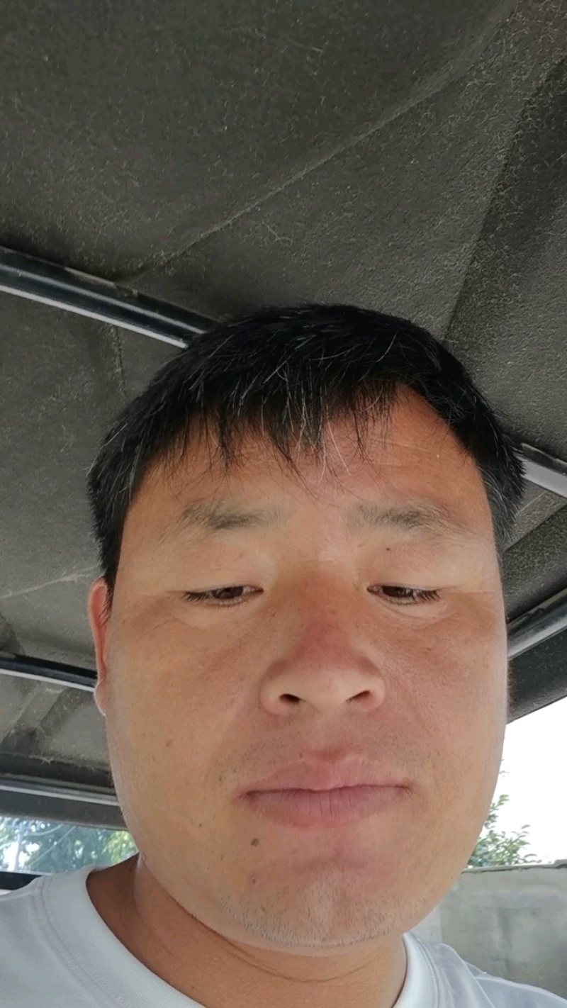 三红胡萝卜红金川通许胡萝卜新货水洗一手货源量大优惠