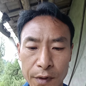 安岳柠檬尤力克新鲜柠檬现货大中小一二三级皮薄汁多质量保证