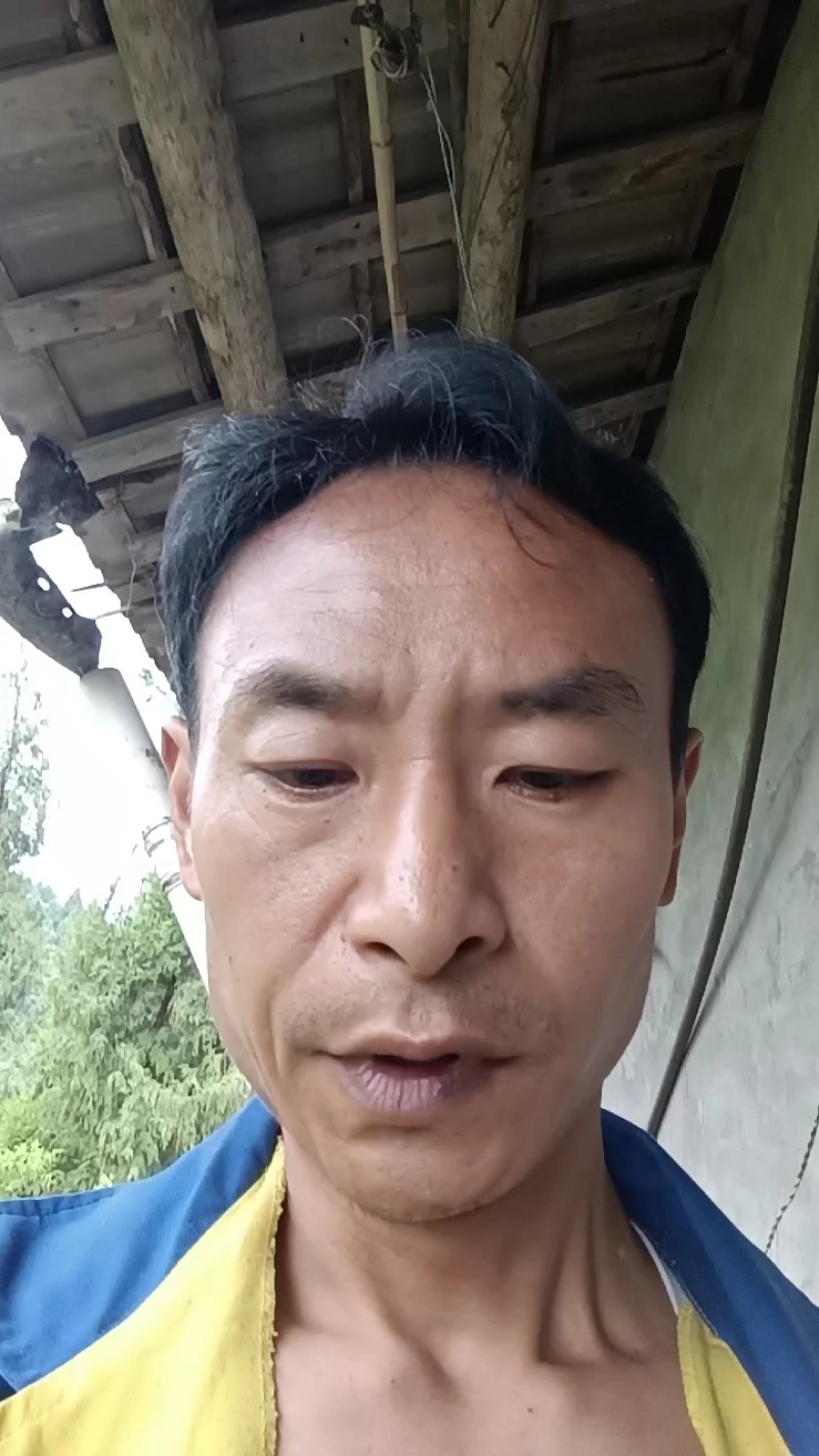 安岳柠檬尤力克新鲜柠檬现货大中小一二三级皮薄汁多质量保证