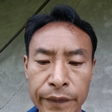 安岳柠檬尤力克新鲜柠檬现货大中小一二三级皮薄汁多质量保证