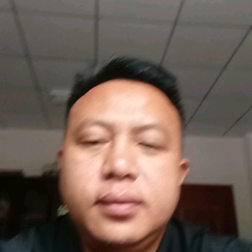 六马镇正宗蜂糖李高糖多汁皮薄肉厚产地直销现摘现发