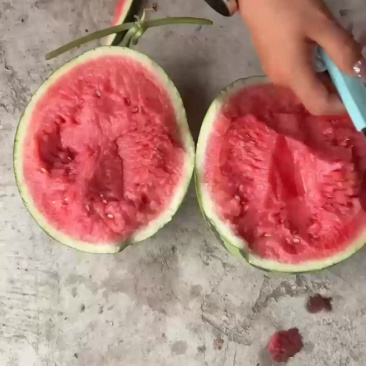 精品无籽美都麒麟，口感好嘎嘎甜